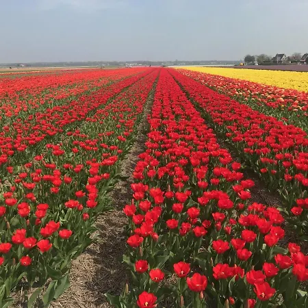 Puur Alkmaar Apartamento *